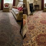 best carpet cleaning company