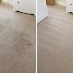 carpet cleaner
